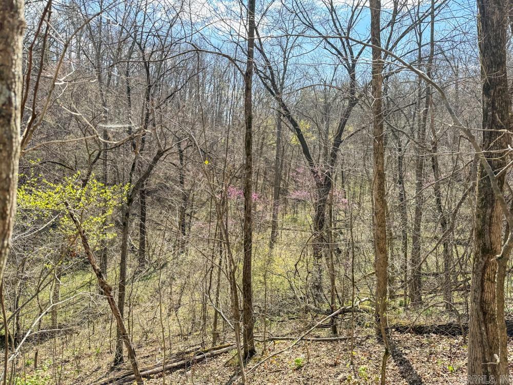 000  Wilcox  Mountain View, AR
