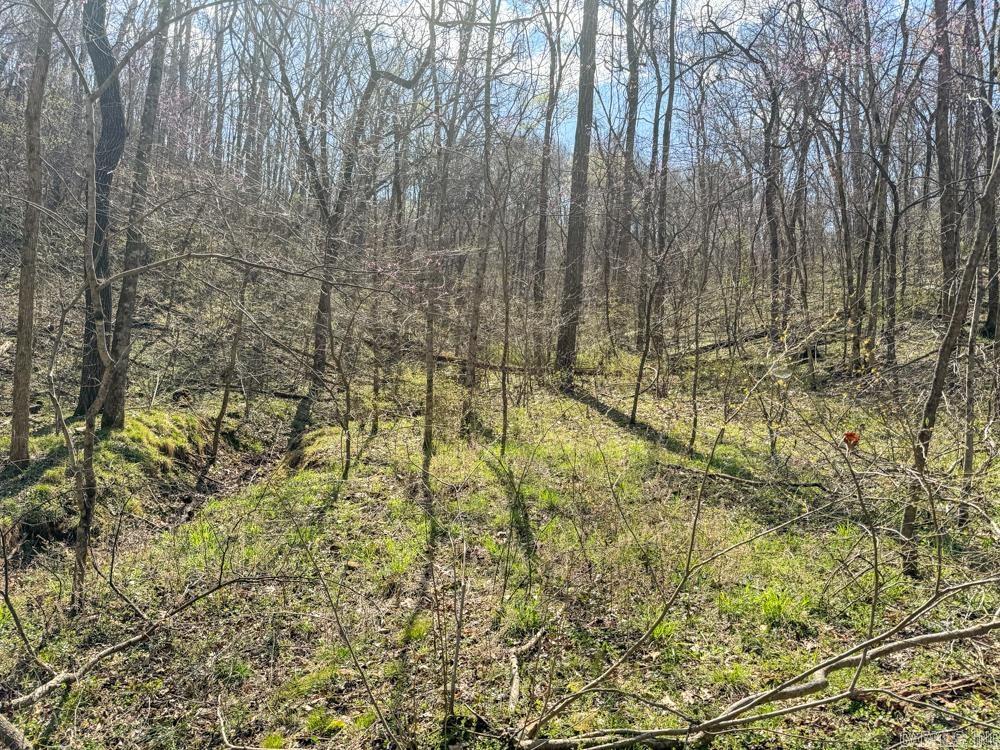 000  Wilcox  Mountain View, AR