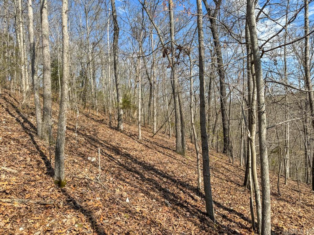 000  Wilcox  Mountain View, AR
