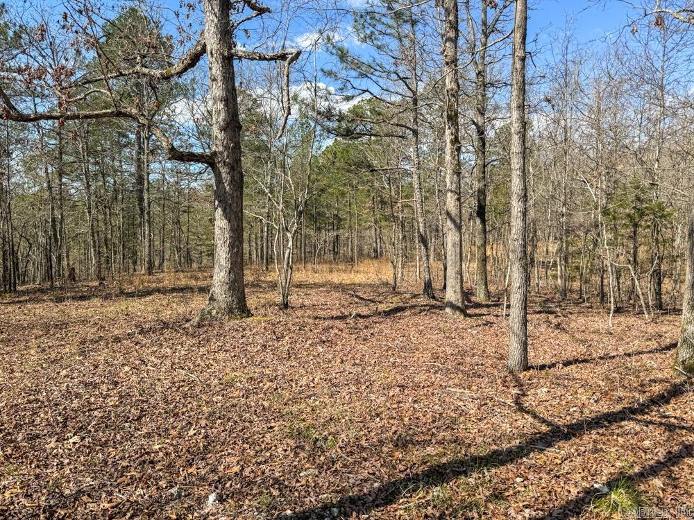 000  Wilcox  Mountain View, AR