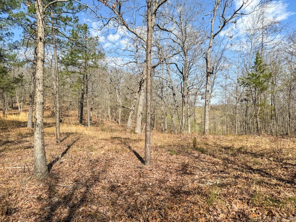 000  Wilcox  Mountain View, AR