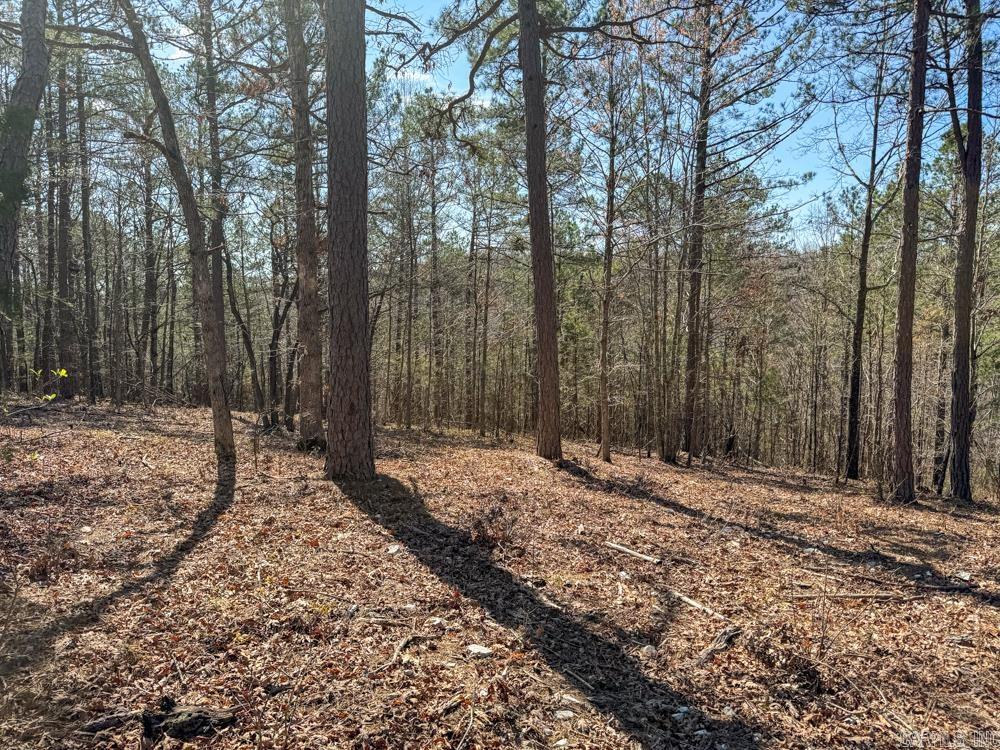 000  Wilcox  Mountain View, AR