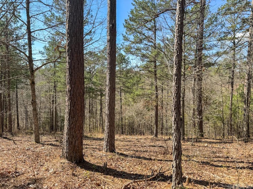 000  Wilcox  Mountain View, AR