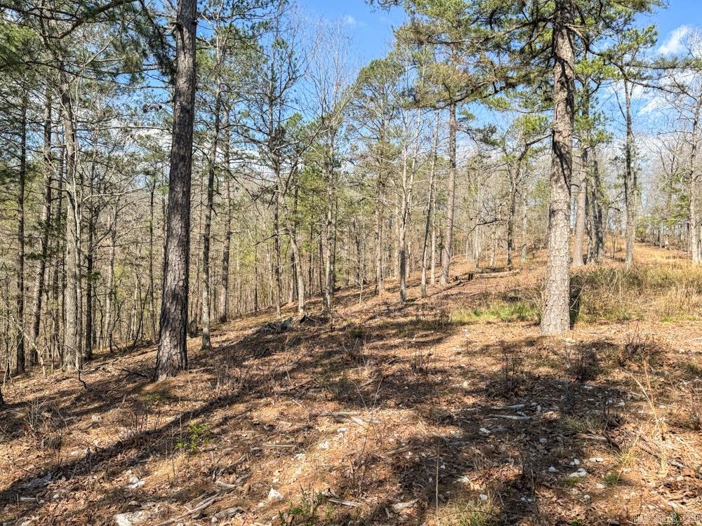 000  Wilcox  Mountain View, AR