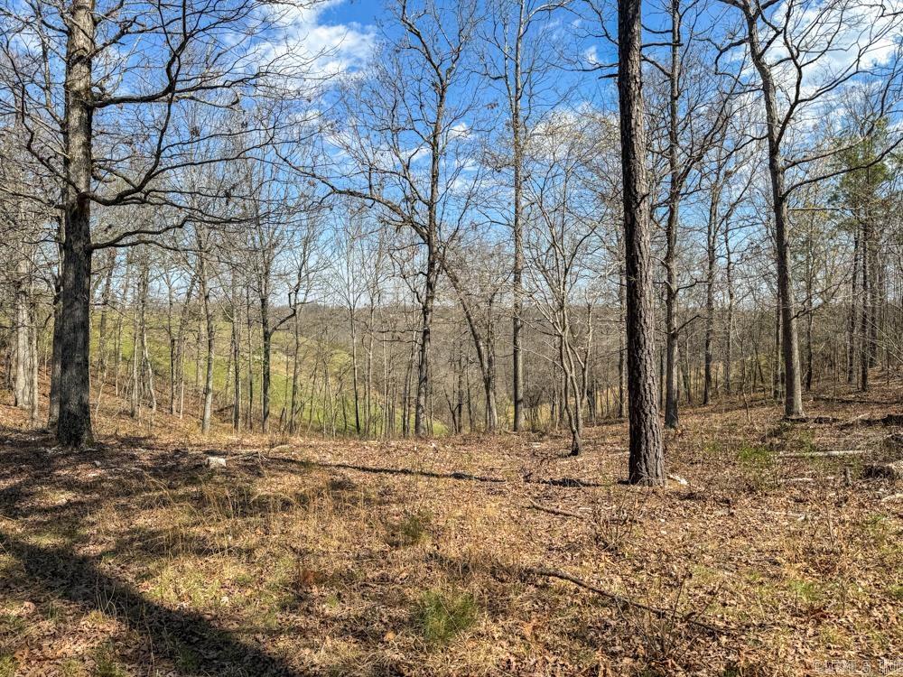 000  Wilcox  Mountain View, AR