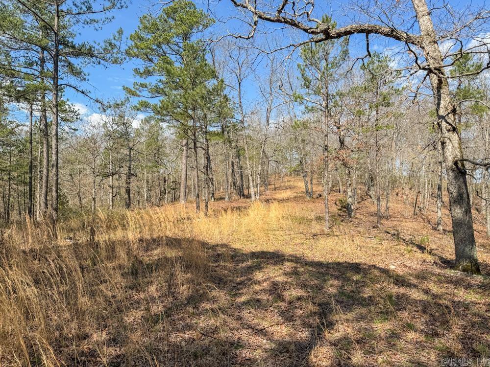 000  Wilcox  Mountain View, AR