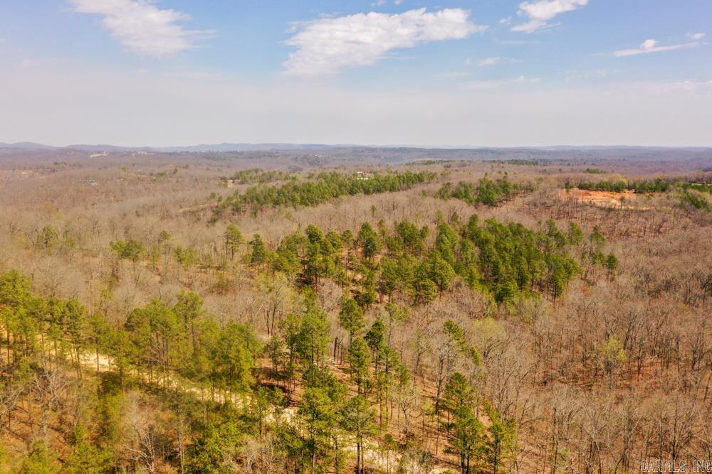 000  Wilcox  Mountain View, AR
