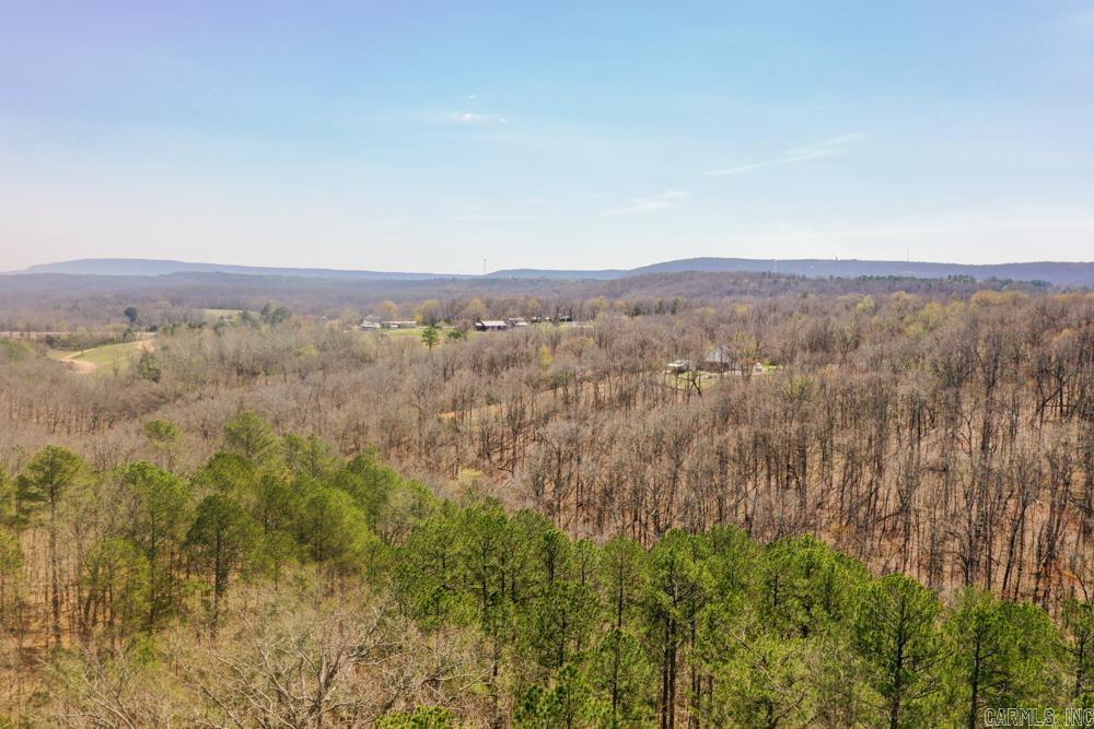 000  Wilcox  Mountain View, AR