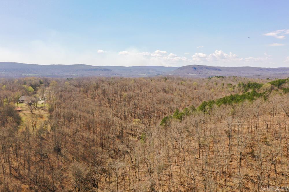 000  Wilcox  Mountain View, AR