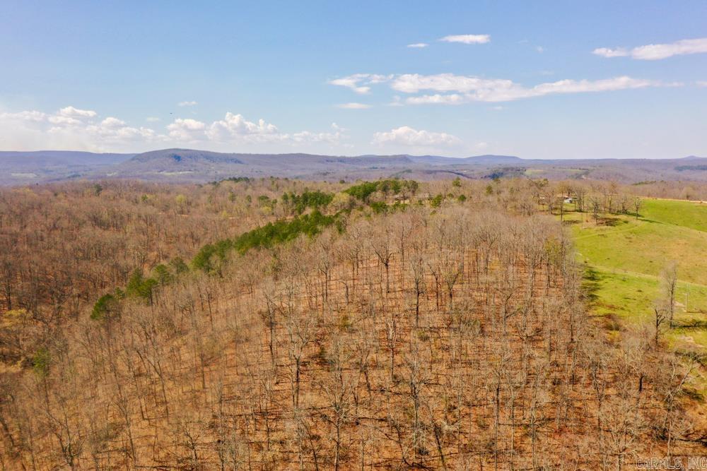 000  Wilcox  Mountain View, AR