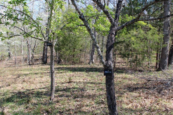 534  Oakley  Mountain Home, AR