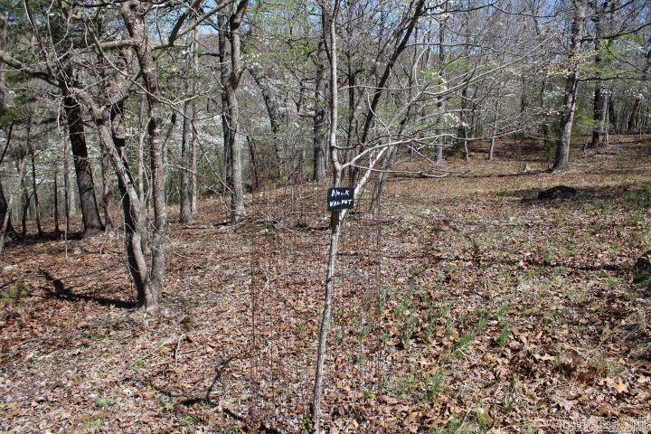 534 Oakley  Mountain Home, AR