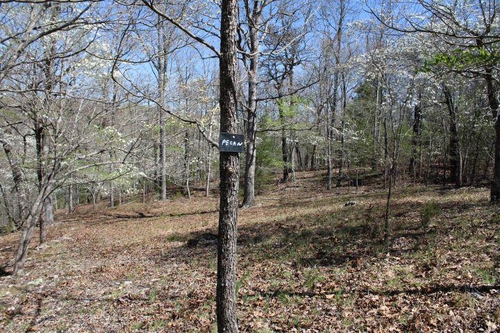 534  Oakley  Mountain Home, AR