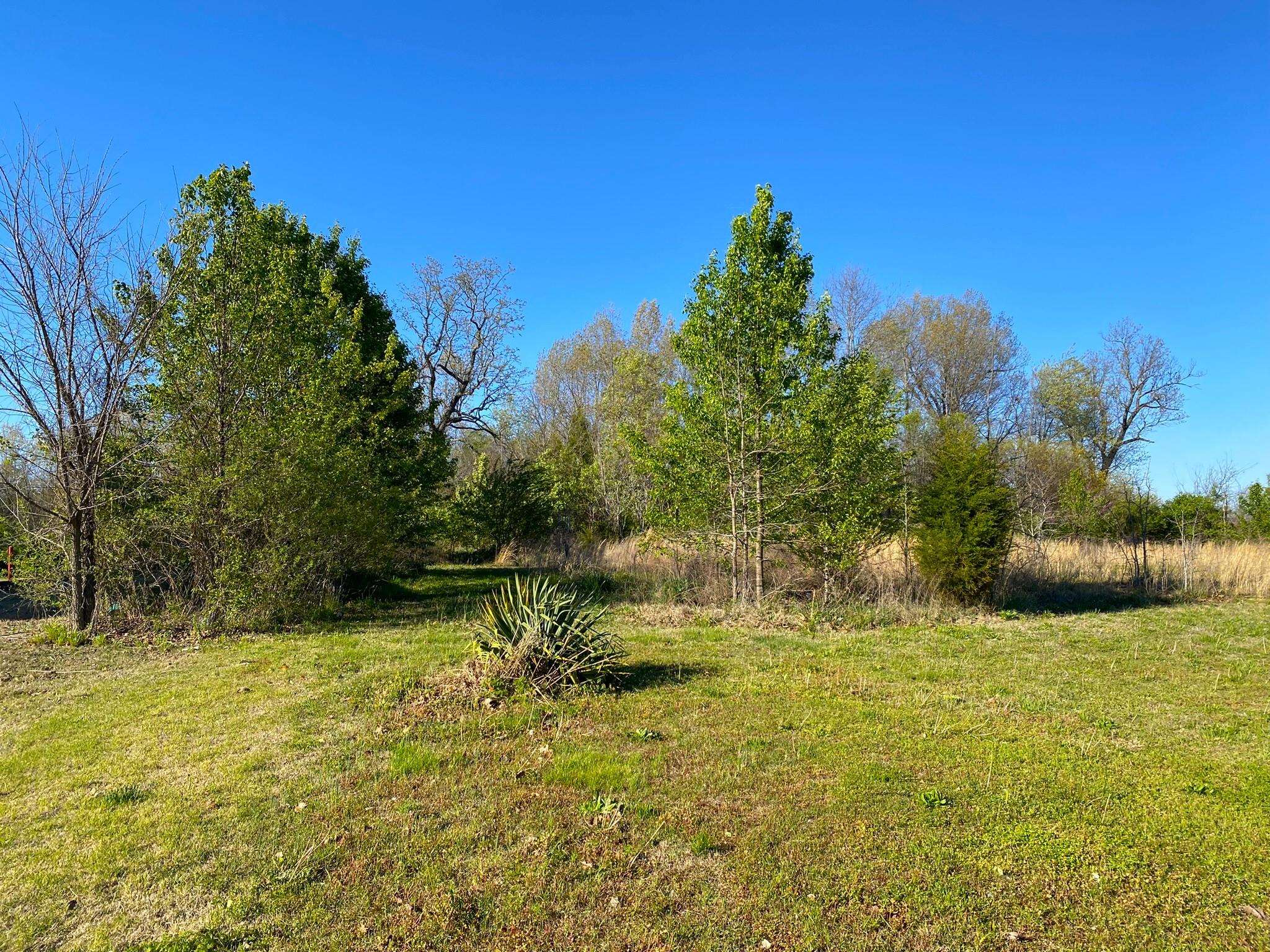 007-14999-159  Hwy 62 West  Mountain Home, AR