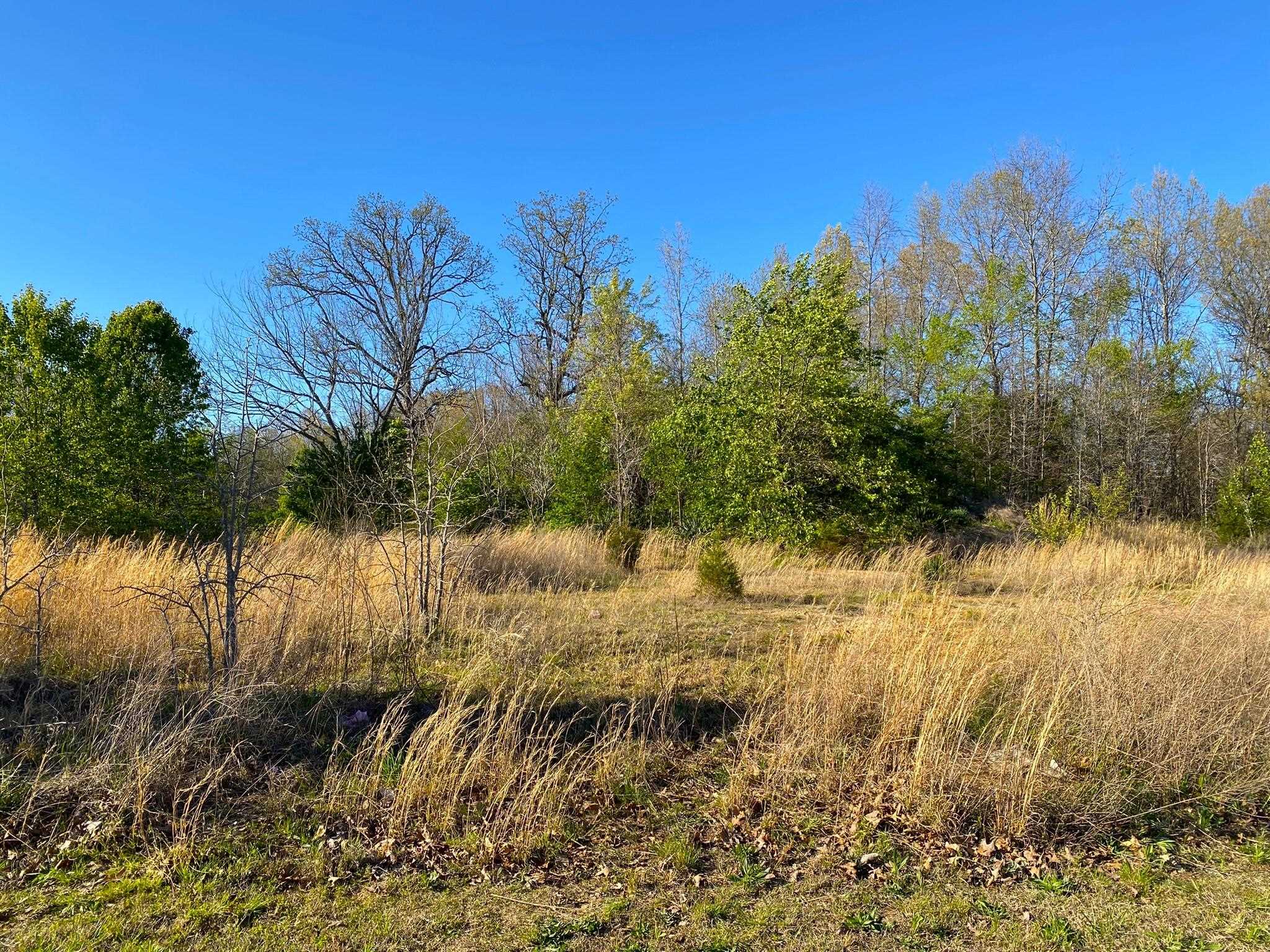 007-14999-159  Hwy 62 West  Mountain Home, AR