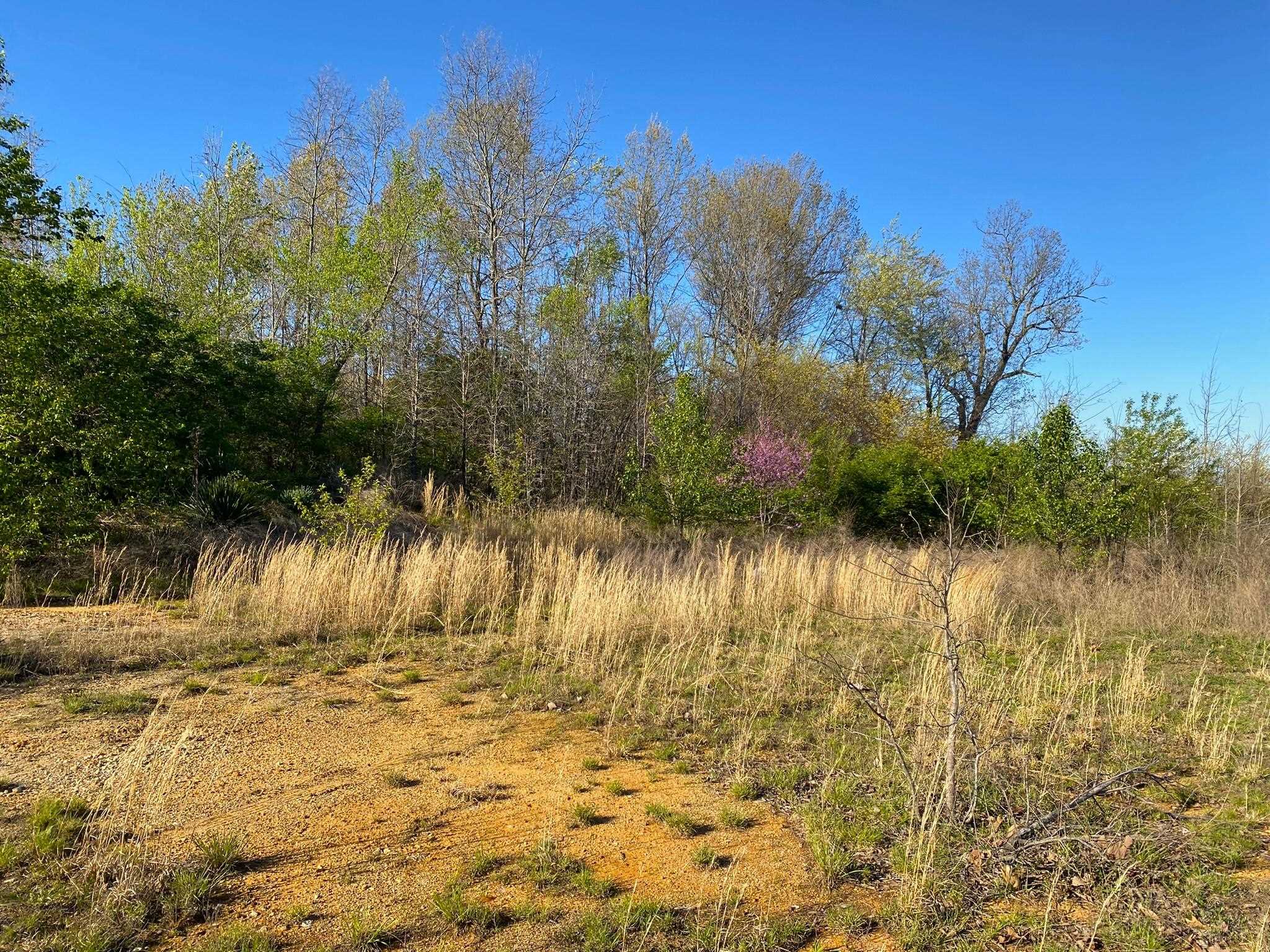 007-14999-159  Hwy 62 West  Mountain Home, AR