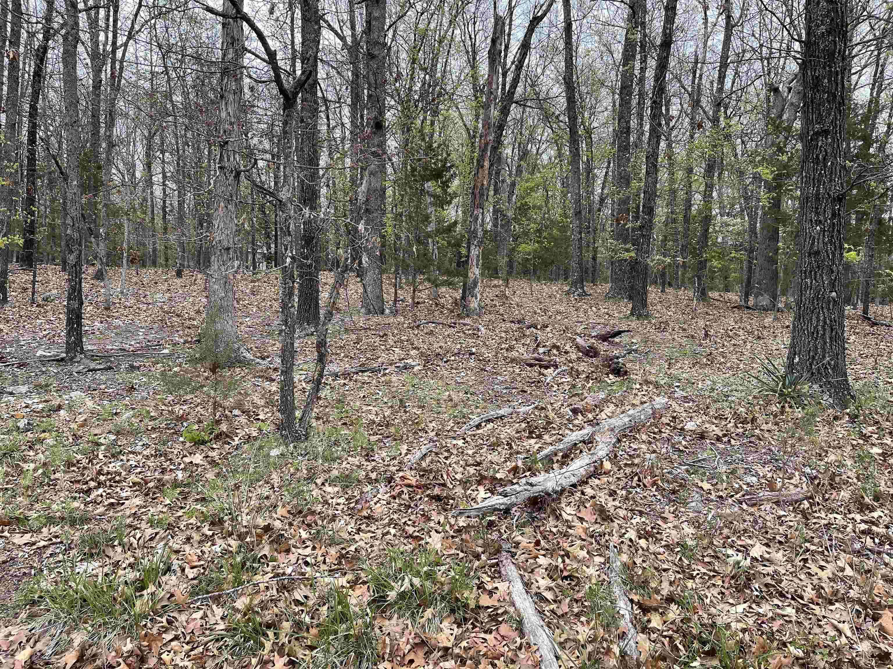1323  Hummingbird Lane  Horseshoe Bend, AR