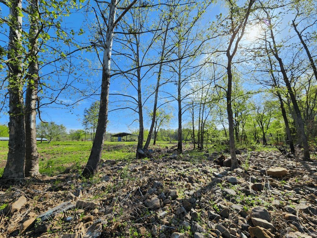 1242  Brushy Road  Oden, AR