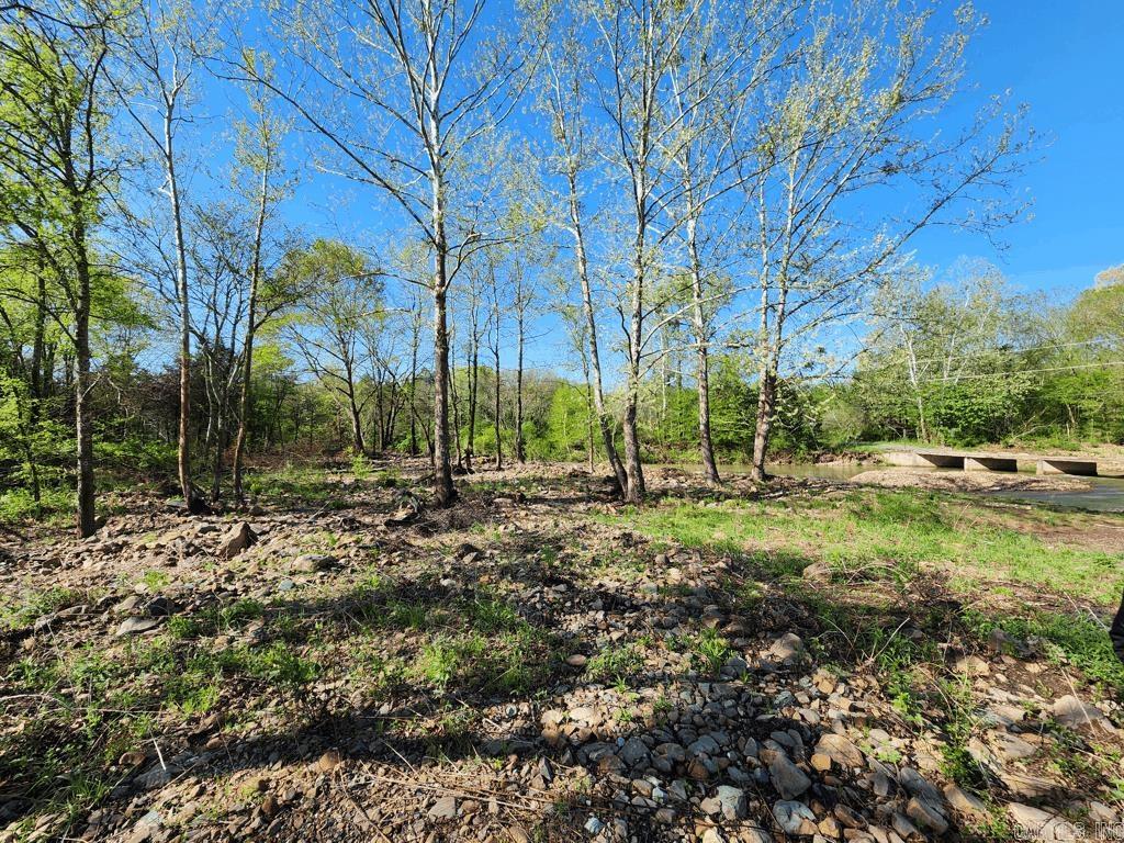 1242  Brushy Road  Oden, AR