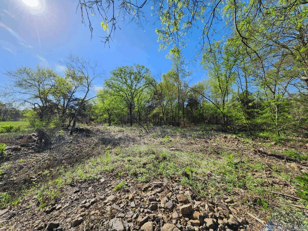 1242  Brushy Road  Oden, AR