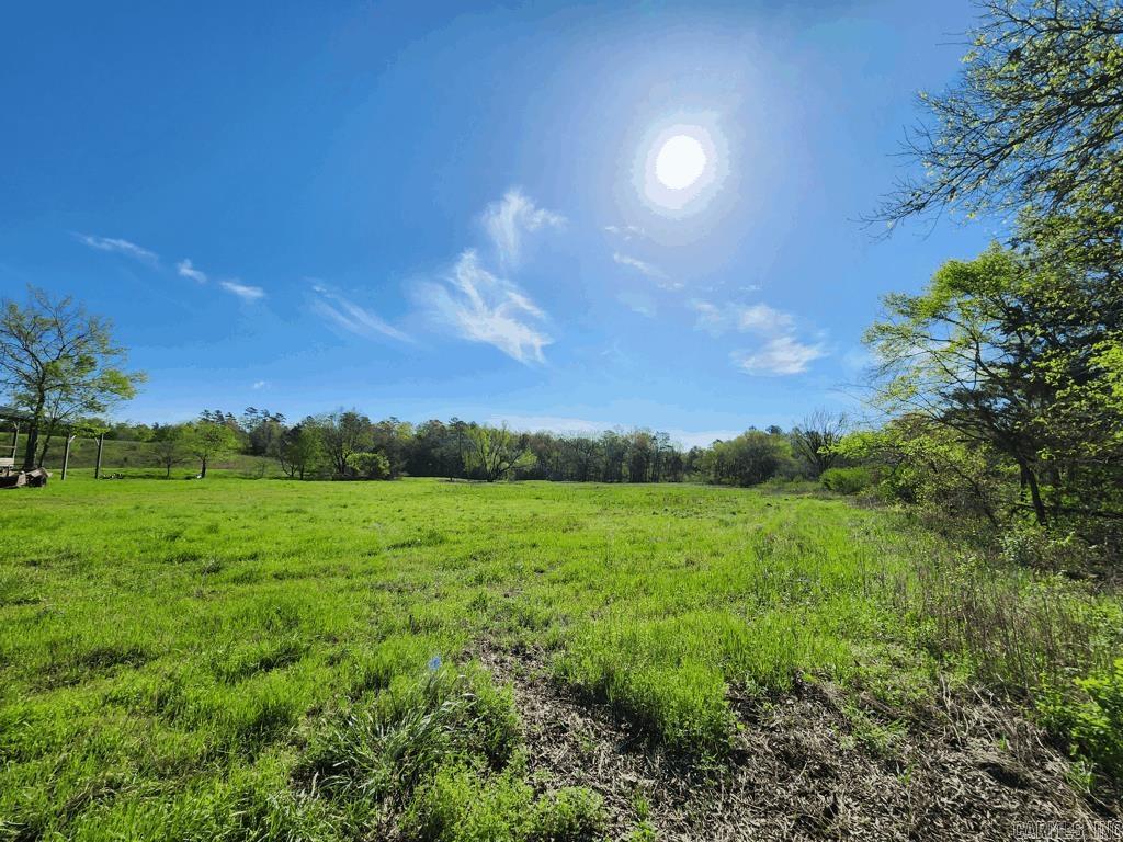 1242  Brushy Road  Oden, AR