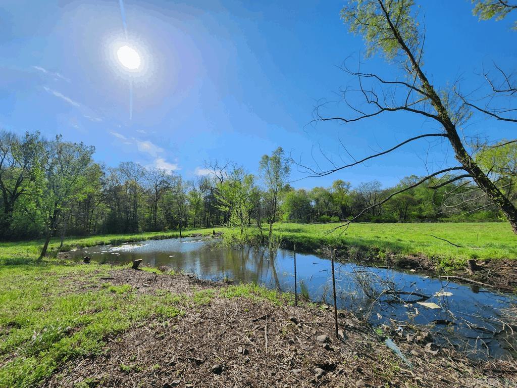 1242  Brushy Road  Oden, AR