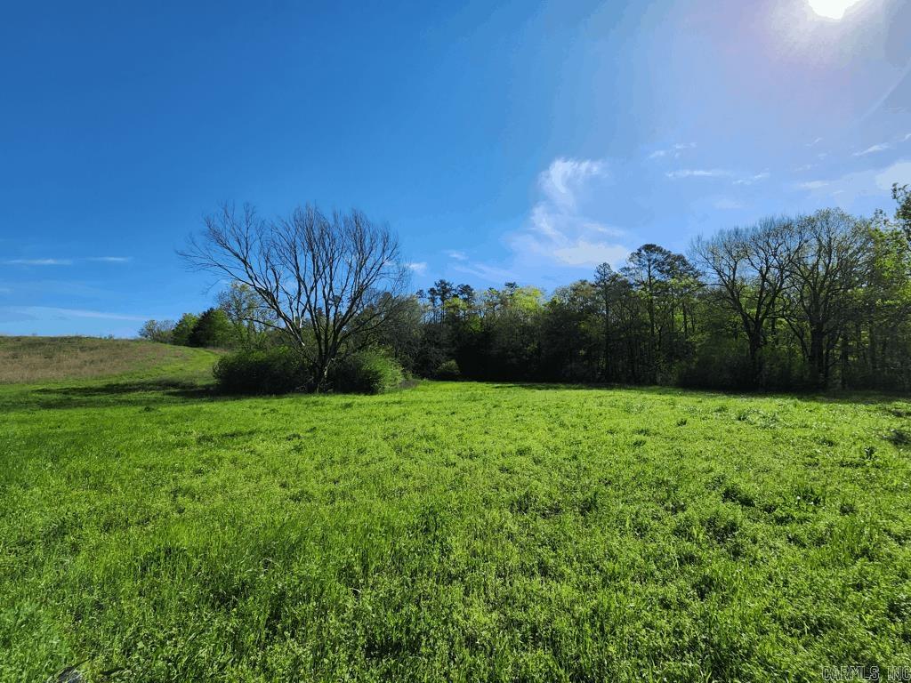 1242  Brushy Road  Oden, AR