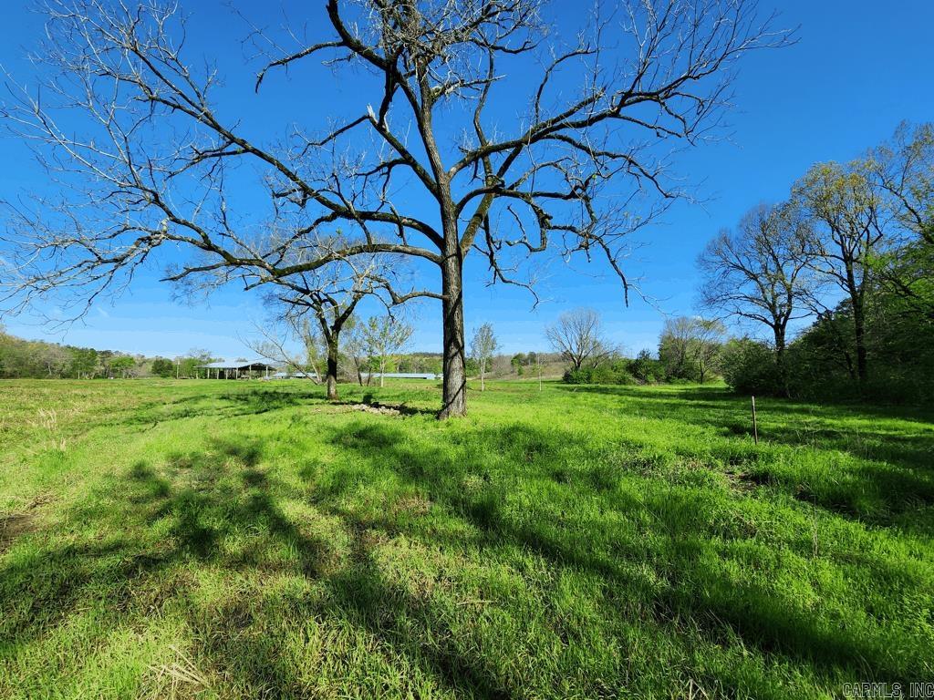 1242  Brushy Road  Oden, AR