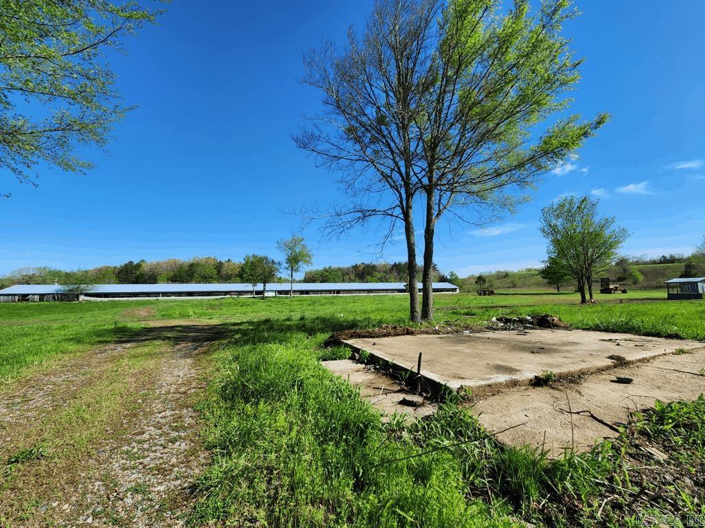 1242  Brushy Road  Oden, AR