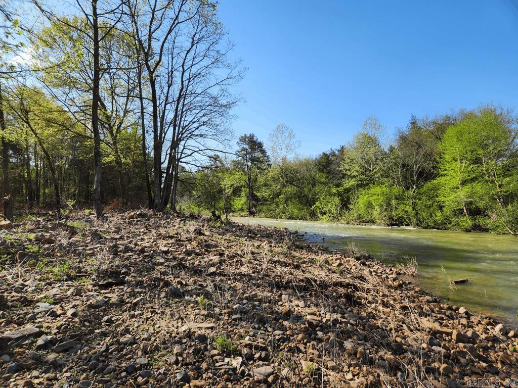 1242  Brushy Road  Oden, AR