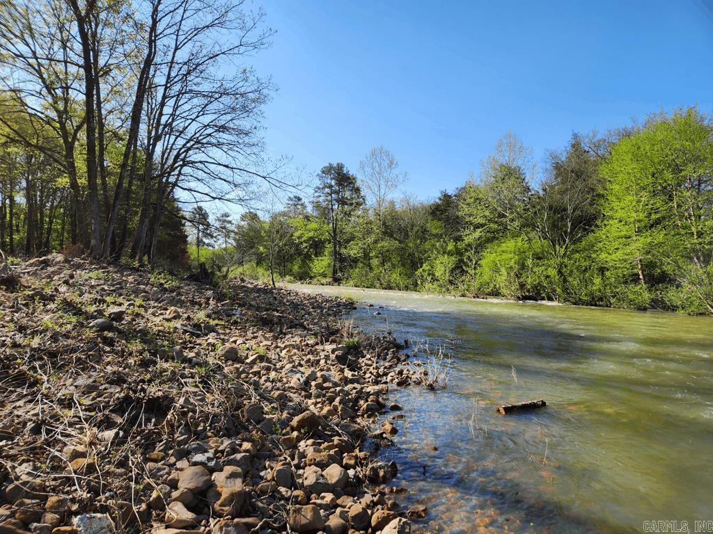 1242  Brushy Road  Oden, AR