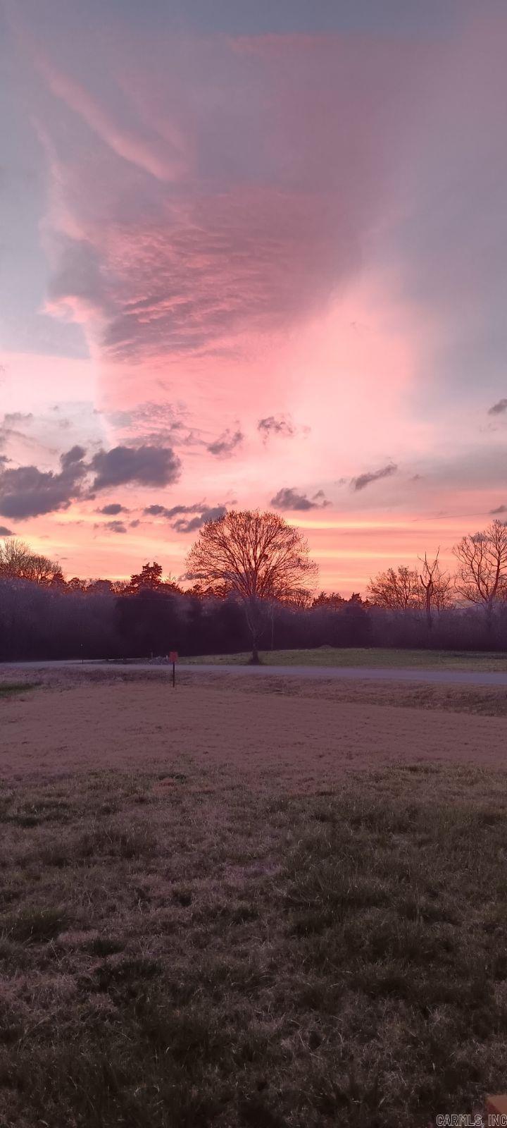 1242  Brushy Road  Oden, AR