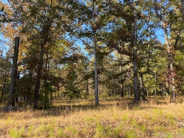   Vine  El Dorado, AR