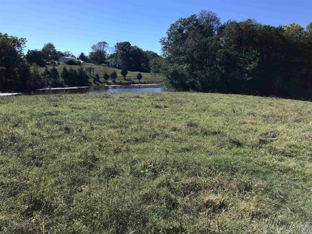 163  Polk Road 21  Cove, AR