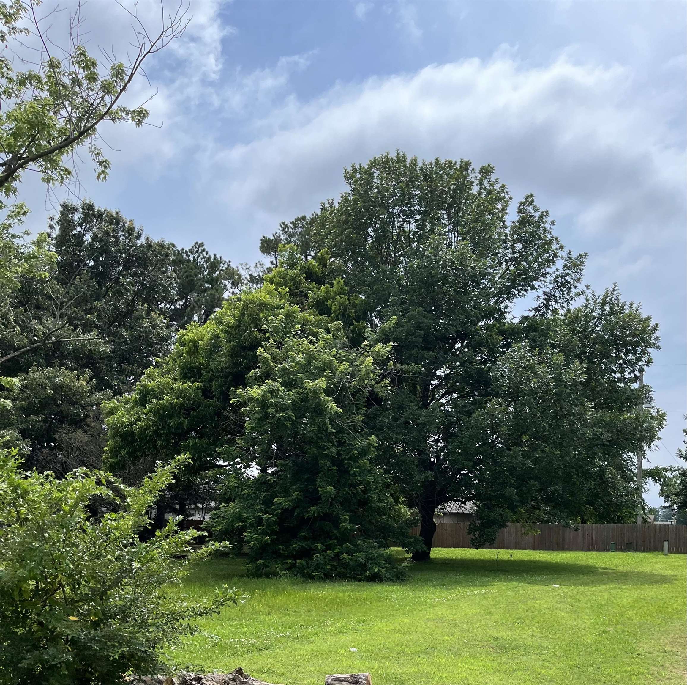 619  Clement  Gosnell, AR