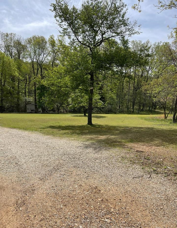 218  River Rd  Hardy, AR