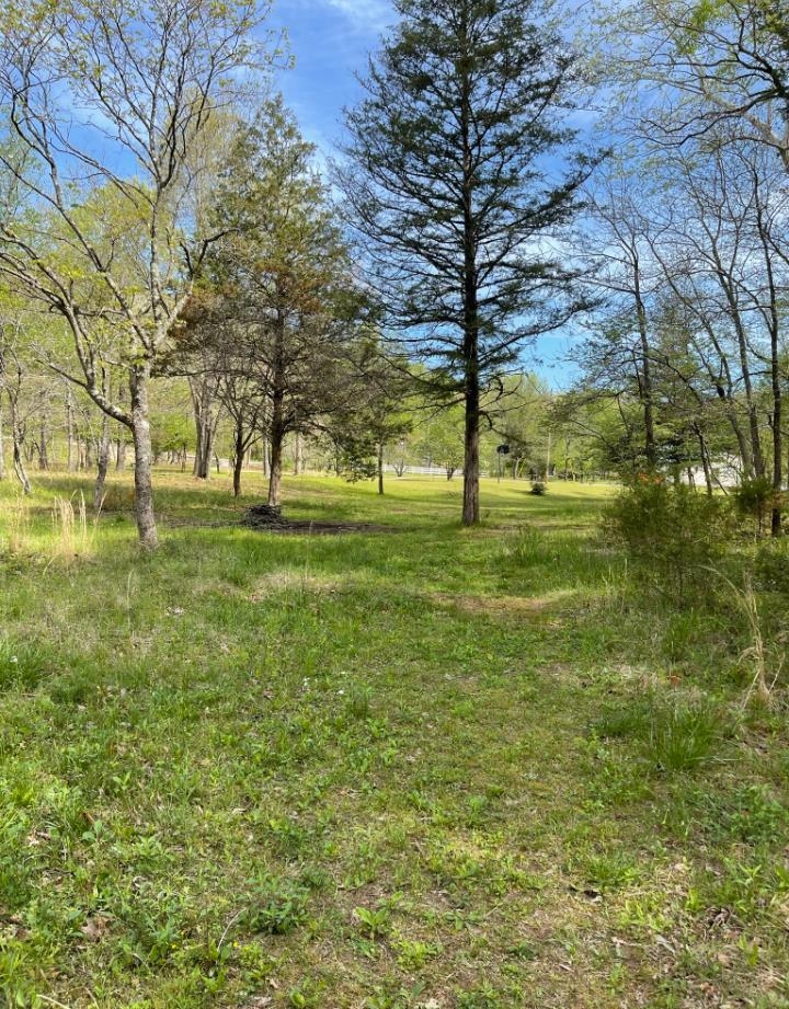 218  River Rd  Hardy, AR