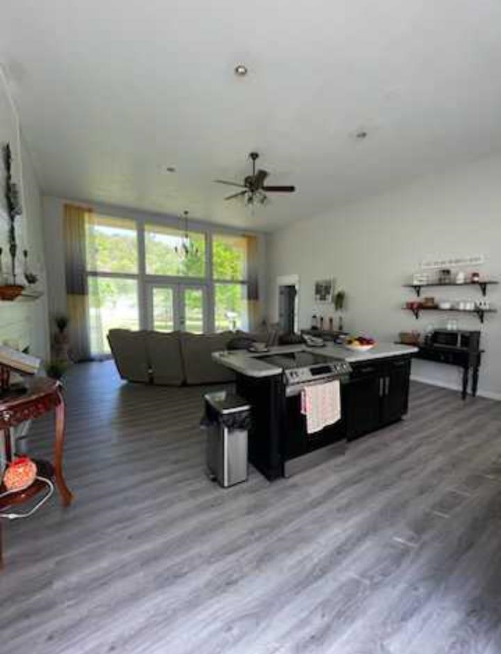 218  River Rd  Hardy, AR