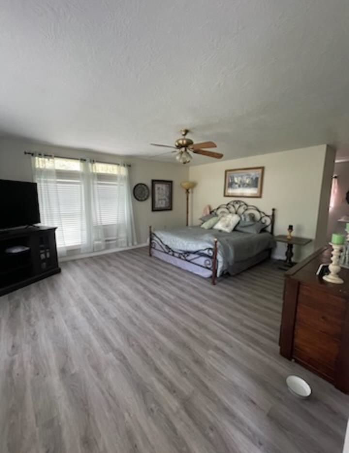 218  River Rd  Hardy, AR