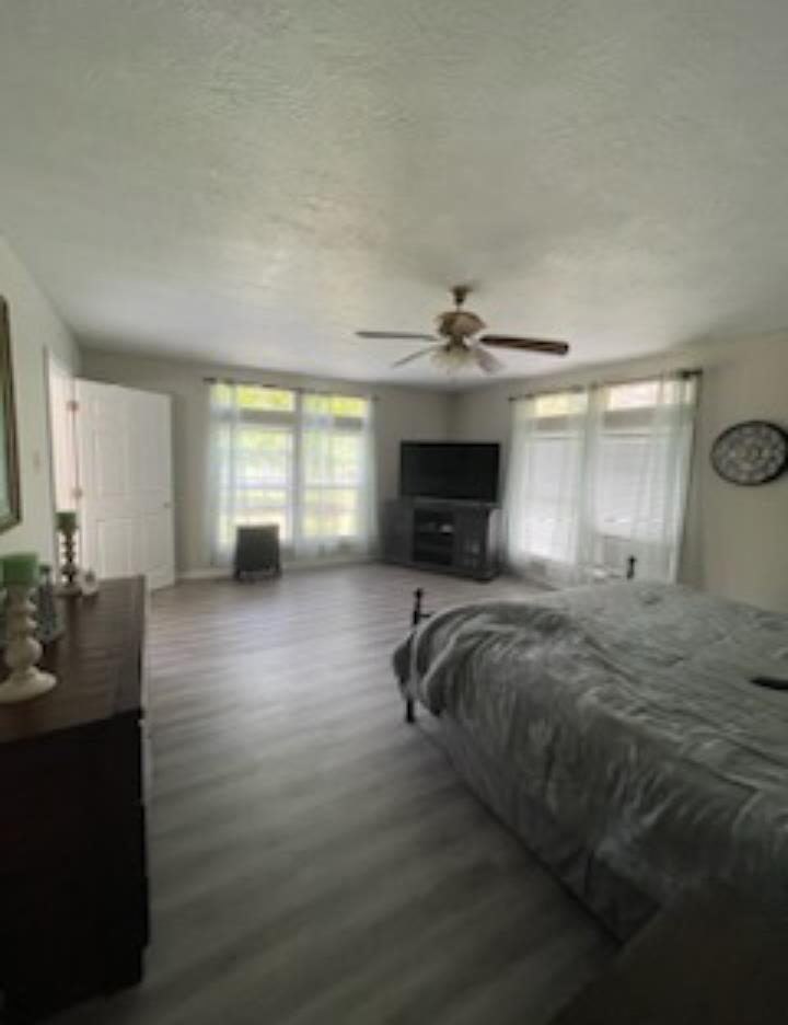 218  River Rd  Hardy, AR