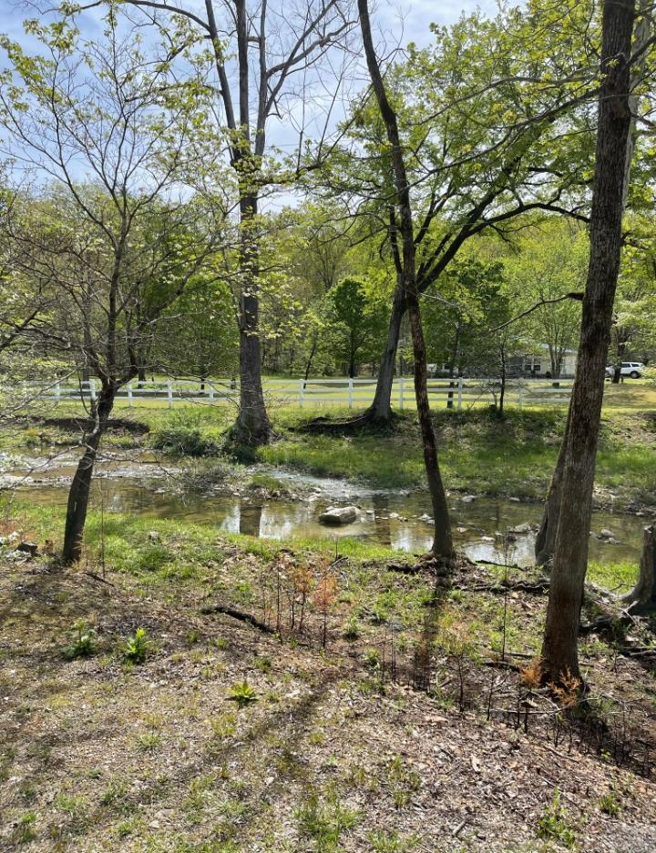 218  River Rd  Hardy, AR