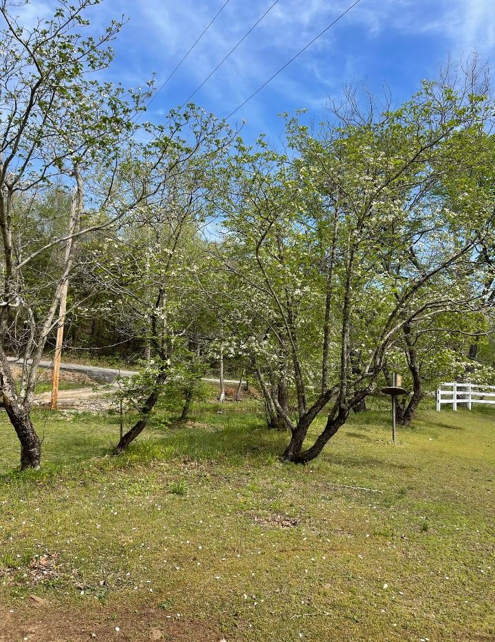 218  River Rd  Hardy, AR