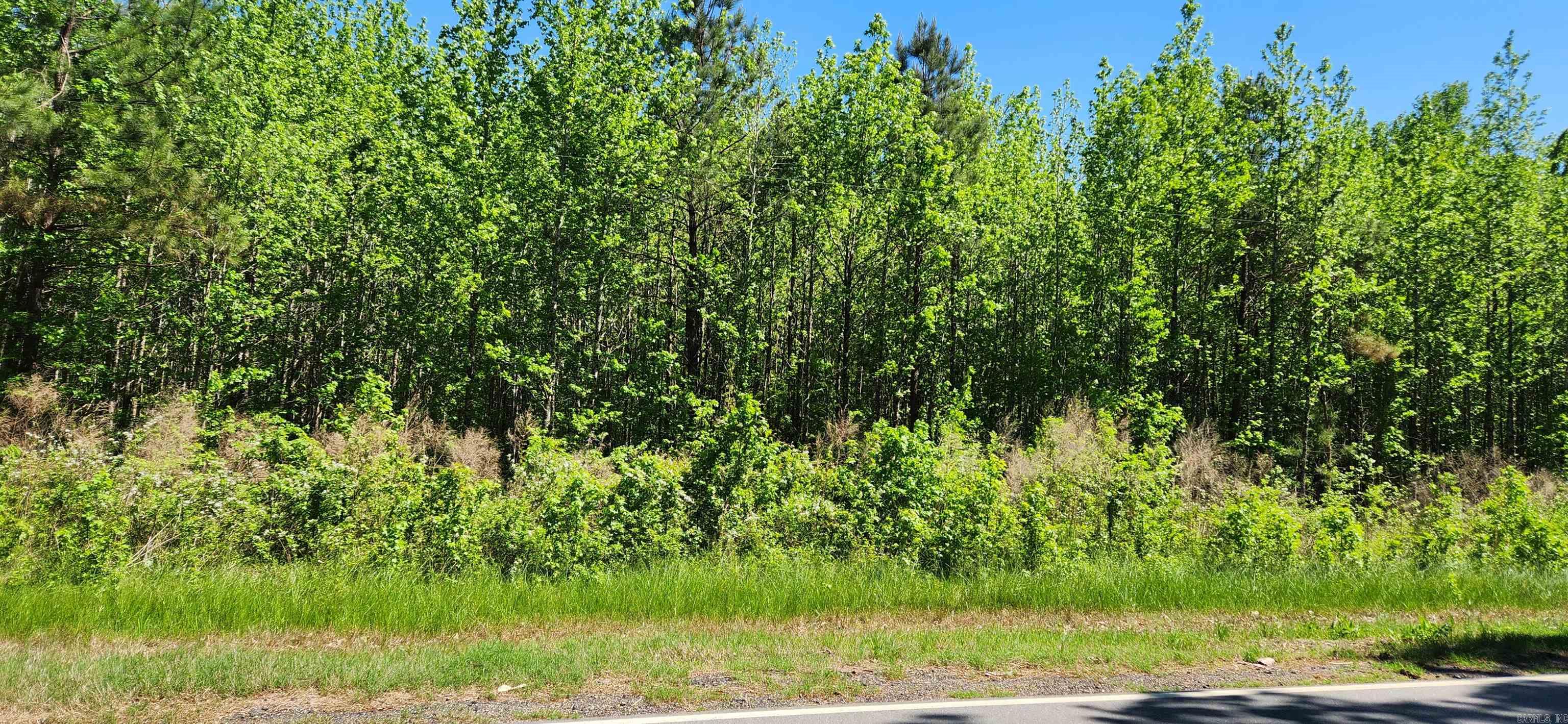 000  Highway 11 South  Star City, AR