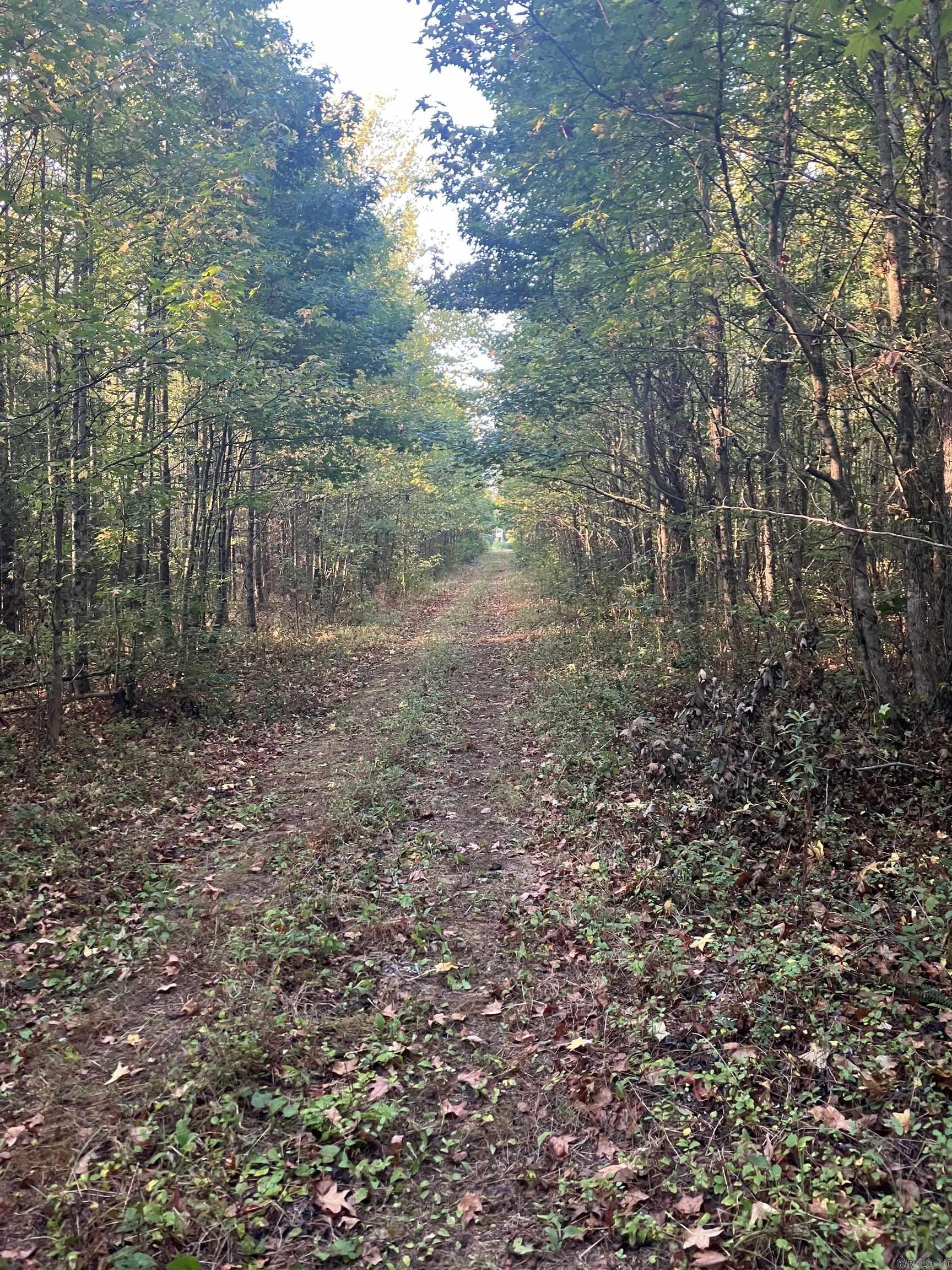 000  Black Hill Road  Damascus, AR