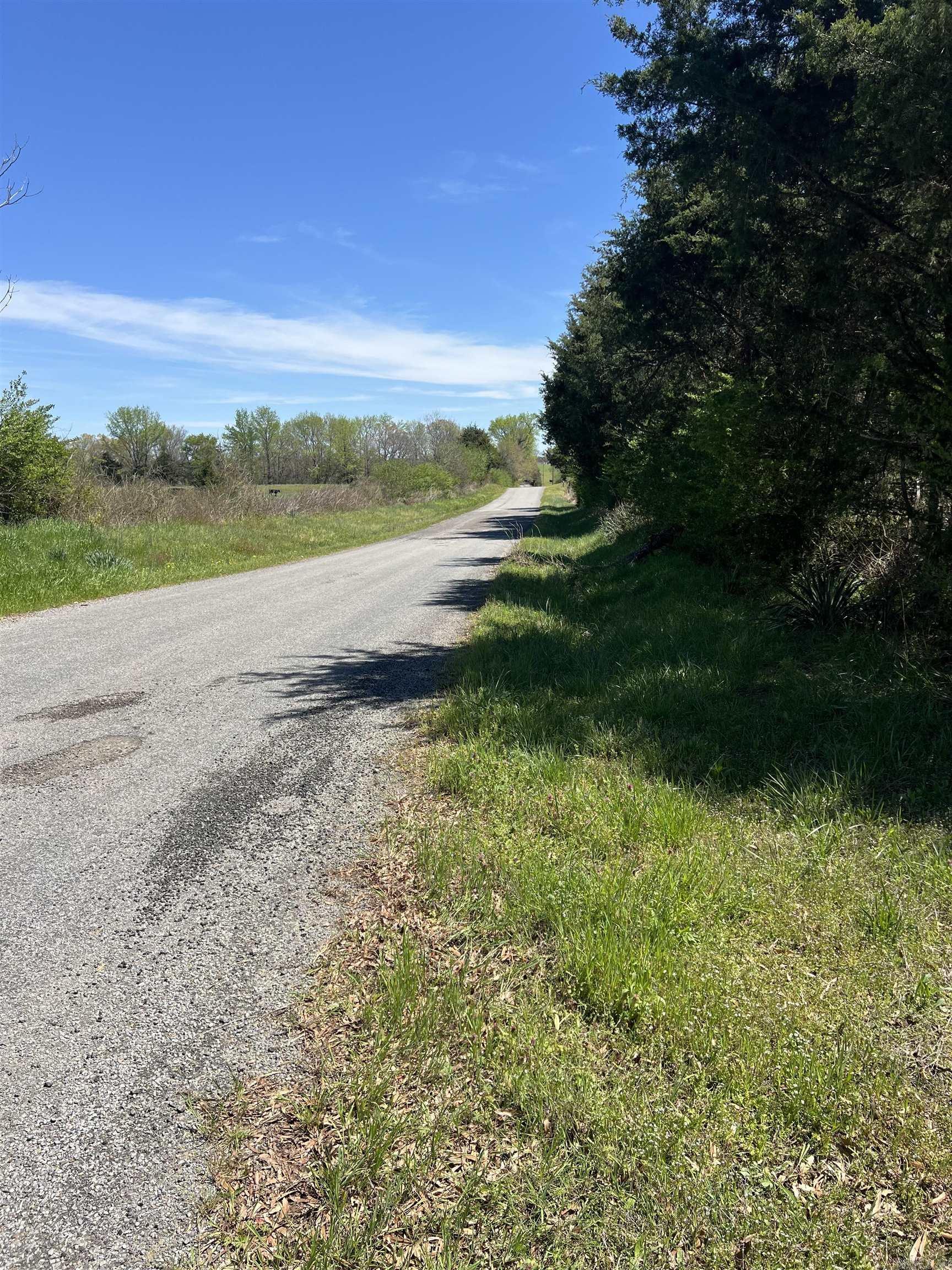 000  Black Hill Road  Damascus, AR