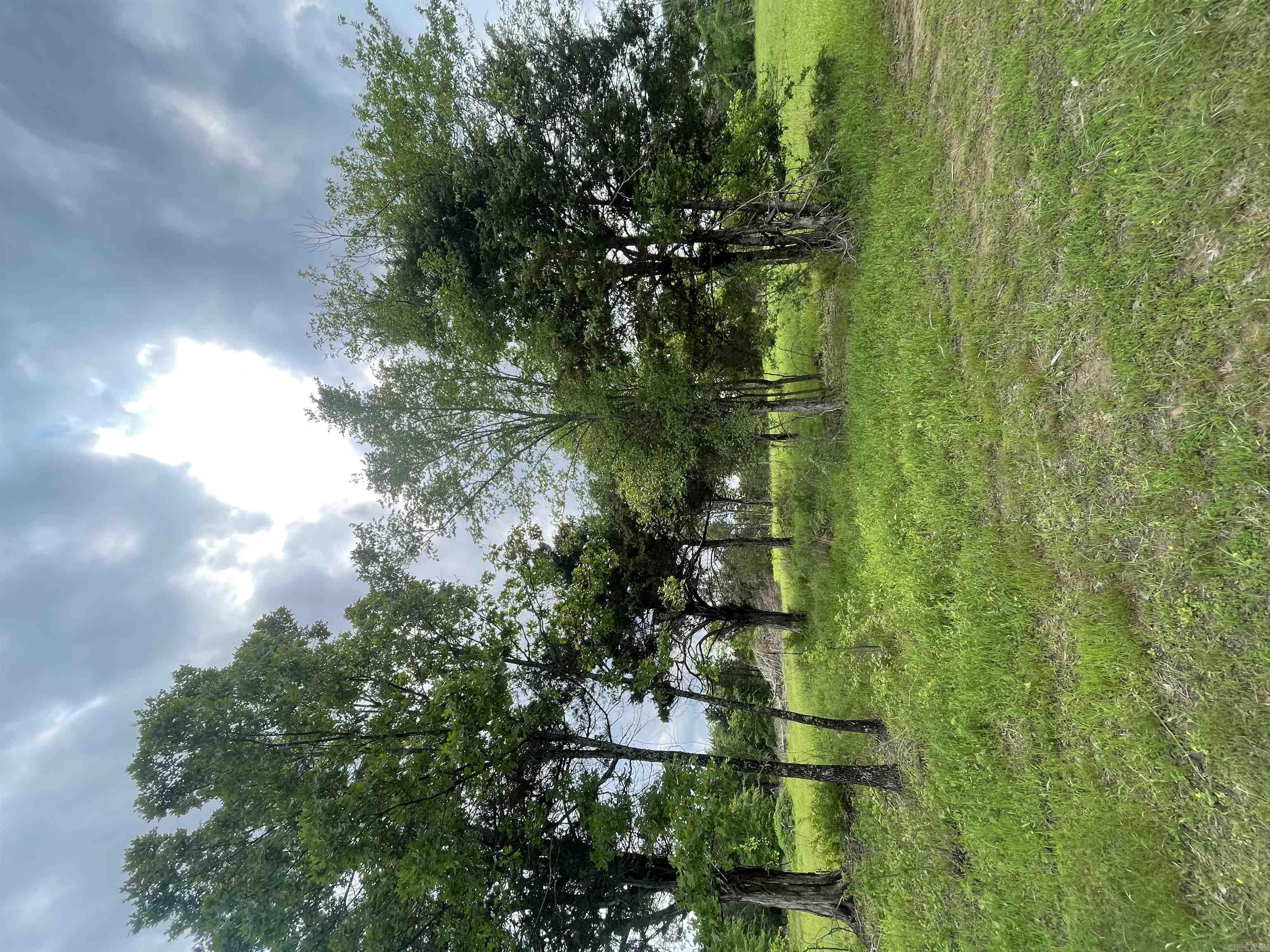 TBD N Highway 65  Twin Groves, AR