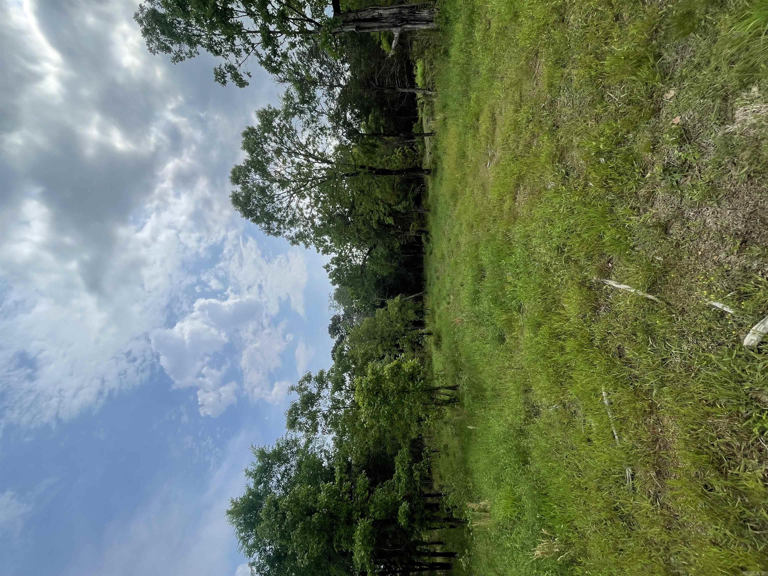 TBD N Highway 65  Twin Groves, AR