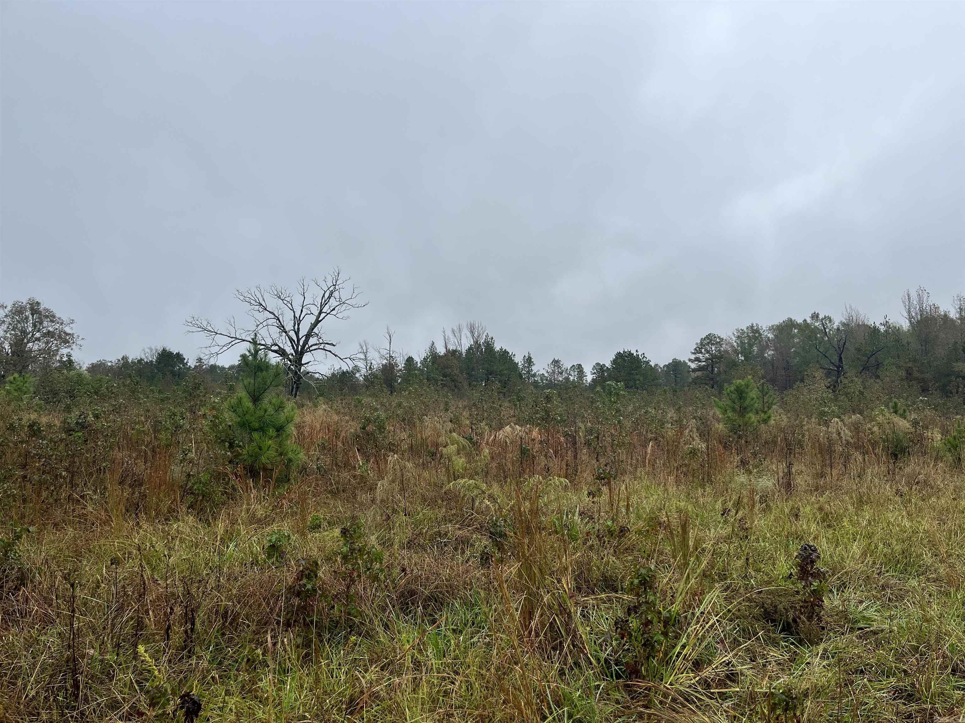 TBD  Grant County 4  Leola, AR