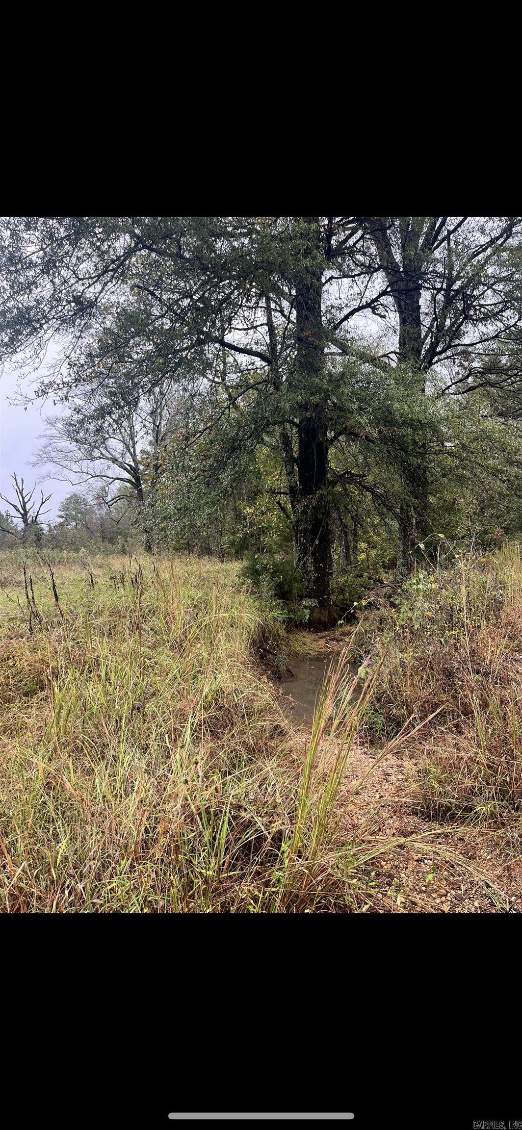 TBD  Grant County 4  Leola, AR