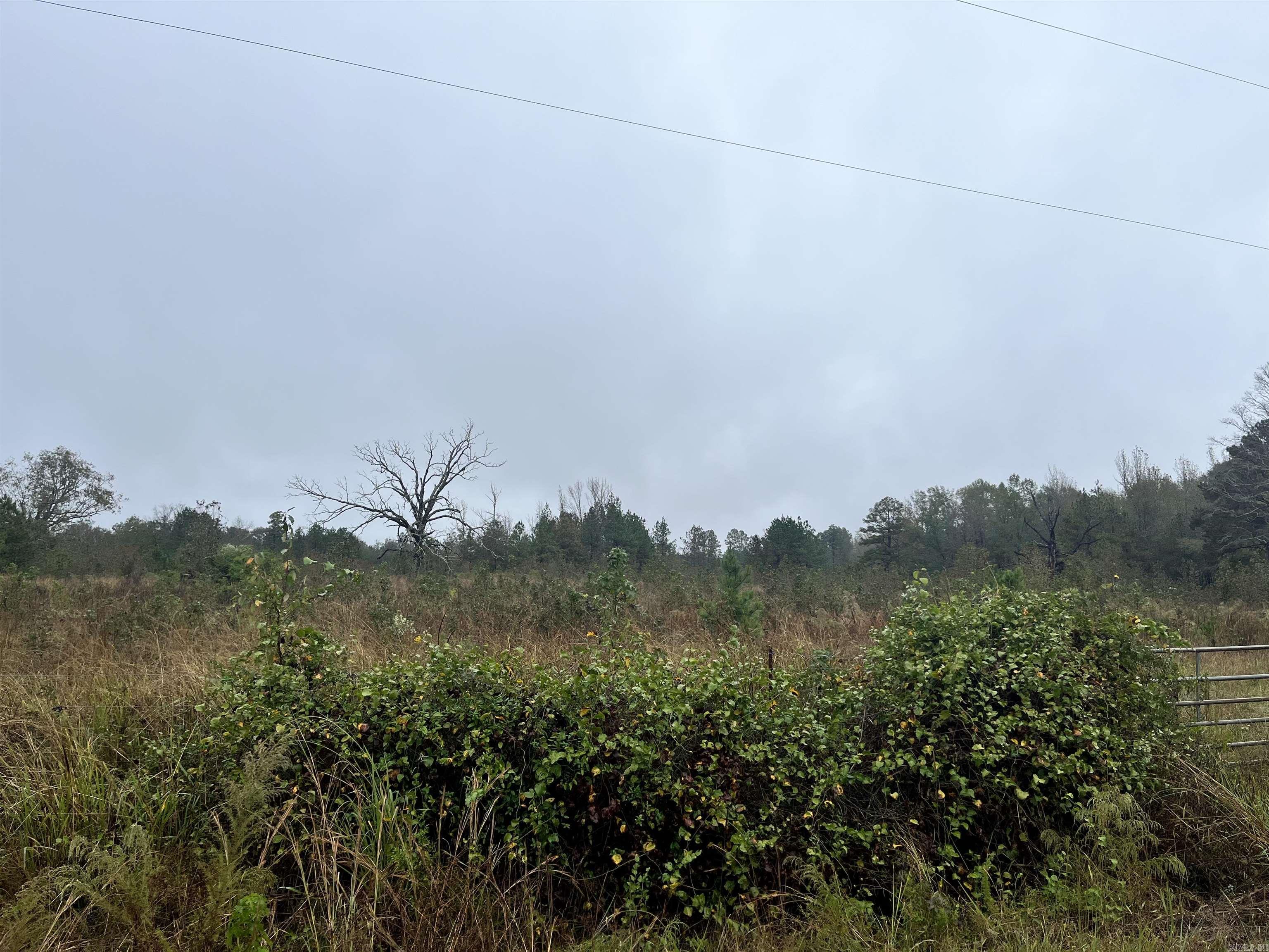 TBD  Grant County 4  Leola, AR